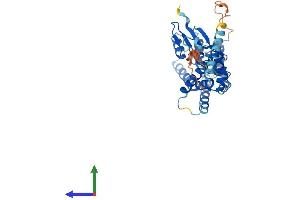 AlphaFold protein structure predicition of Mouse Recombinant Mtx1 Protein, UniprotID P47802