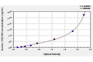 Typical standard curve (COL7A1 Kit ELISA)