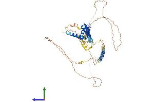 AlphaFold protein structure predicition of Mouse Recombinant Acbd5 Protein, UniprotID Q5XG73