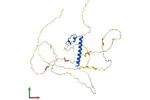 AlphaFold protein structure predicition of Human Recombinant DMRT1 Protein, UniprotID Q9Y5R6