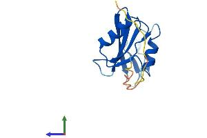 AlphaFold protein structure predicition of Human Recombinant SH2D1A Protein, UniprotID O60880