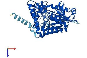 AlphaFold protein structure predicition of Mouse Recombinant Aadac Protein, UniprotID Q99PG0