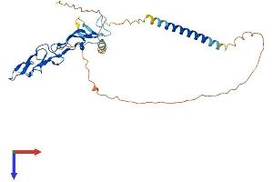 AlphaFold protein structure predicition of Human Recombinant EDA2R Protein, UniprotID Q9HAV5