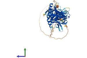 AlphaFold protein structure predicition of Mouse Recombinant Sntb2 Protein, UniprotID Q61235