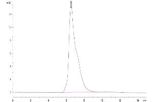 The purity of Cynomolgus CD96 is greater than 95 % as determined by SEC-HPLC.