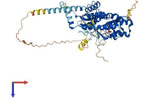 AlphaFold protein structure predicition of Human Recombinant PI4K2A Protein, UniprotID Q9BTU6