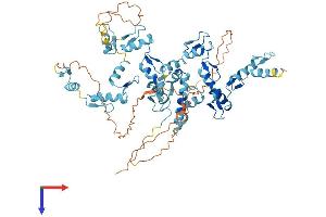 AlphaFold protein structure predicition of Human Recombinant ZNF354A Protein, UniprotID O60765