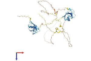 AlphaFold protein structure predicition of Mouse Recombinant Dcdc2 Protein, UniprotID Q5DU00