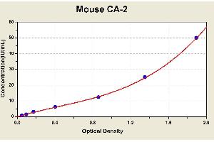 Diagramm of the ELISA kit to detect Mouse CA-2with the optical density on the x-axis and the concentration on the y-axis. (CA2 Kit ELISA)