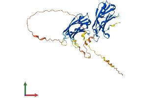 AlphaFold protein structure predicition of Mouse Recombinant Doc2g Protein, UniprotID Q9ESN1