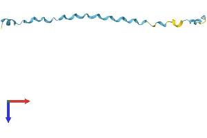 AlphaFold protein structure predicition of Mouse Recombinant Sprr2e Protein, UniprotID O70556