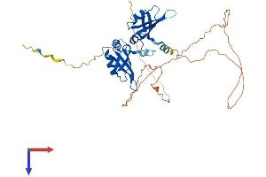 AlphaFold protein structure predicition of Mouse Recombinant Hnrnpa3 Protein, UniprotID Q8BG05