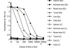 ELISA image for anti-Zona Radiata Protein antibody (ABIN108742) (Zona Radiata Protein anticorps)