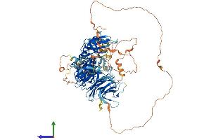 AlphaFold protein structure predicition of Mouse Recombinant Map4k3 Protein, UniprotID Q99JP0