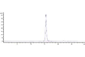 The purity of Anti-CD47 Reference Antibody (lemzoparlimab) is 100 % , determined by SEC-HPLC. (Recombinant CD47 (Lemzoparlimab Biosimilar) anticorps)