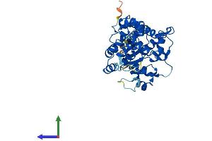 AlphaFold protein structure predicition of Human Recombinant CHST4 Protein, UniprotID Q8NCG5