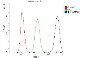 Flow Cytometry analysis of SiHa cells using anti-APE1 antibody (ABIN5692978). (APEX1 anticorps  (AA 2-318))