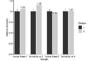The ST/5-HT (Serotonin/5-Hydroxytryptamine) ELISA Kit was tested for linearity of dilution by using different dilutions of appropriate samples and testing for recovery using the SOP. (Serotonin Kit ELISA)