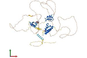AlphaFold protein structure predicition of Mouse Recombinant Mex3d Protein, UniprotID Q3UE17
