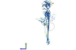 AlphaFold protein structure predicition of Mouse Recombinant Mid1 Protein, UniprotID O70583