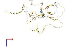 AlphaFold protein structure predicition of Human Recombinant FBRS Protein, UniprotID Q9HAH7