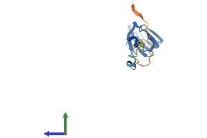 AlphaFold protein structure predicition of Human Recombinant SNRPD1 Protein, UniprotID P62314