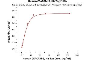 Immobilized AM-5 (labetuzumab) Antibody, Human IgG1 at 1 μg/mL (100 μL/well) can bind Biotinylated Human CEACAM-5, His,Avitag (ABIN6386445,ABIN6388259) with a linear range of 0.