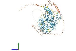 AlphaFold protein structure predicition of Human Recombinant ZNF611 Protein, UniprotID Q8N823
