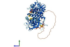 AlphaFold protein structure predicition of Human Recombinant SYK Protein, UniprotID P43405