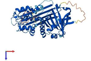 AlphaFold protein structure predicition of Human Recombinant SERPINB4 Protein, UniprotID P48594