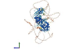 AlphaFold protein structure predicition of Mouse Recombinant Ralgds Protein, UniprotID Q03385