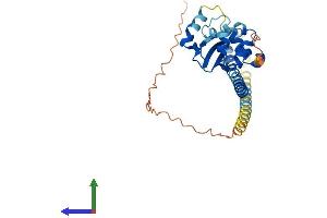 AlphaFold protein structure predicition of Human Recombinant TSPY3 Protein, UniprotID P0CV98