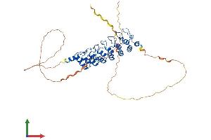 AlphaFold protein structure predicition of Mouse Recombinant Bcl3 Protein, UniprotID Q9Z2F6