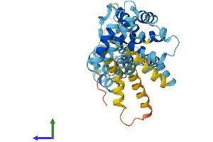 AlphaFold protein structure predicition of Mouse Recombinant Dnajc22 Protein, UniprotID Q8CHS2
