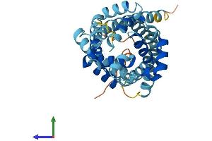 AlphaFold protein structure predicition of Human Recombinant SLC25A37 Protein, UniprotID Q9NYZ2