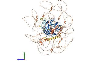 AlphaFold protein structure predicition of Human Recombinant AMBRA1 Protein, UniprotID Q9C0C7