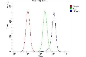 Flow Cytometry analysis of A549 cells using anti-PDE6 alpha/PDE6A antibody (ABIN7599710). (PDE6A anticorps  (AA 11-237))