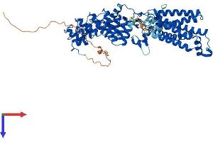 AlphaFold protein structure predicition of Human Recombinant ZDHHC17 Protein, UniprotID Q8IUH5