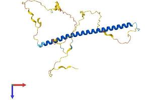 AlphaFold protein structure predicition of Mouse Recombinant Fosl1 Protein, UniprotID P48755