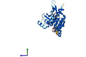 AlphaFold protein structure predicition of Human Recombinant RAD51D Protein, UniprotID O75771