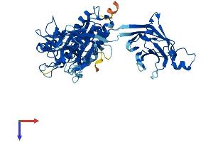 AlphaFold protein structure predicition of Human Recombinant CPNE3 Protein, UniprotID O75131