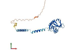 AlphaFold protein structure predicition of Mouse Recombinant Cd209d Protein, UniprotID Q91ZW8