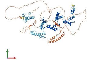 AlphaFold protein structure predicition of Human Recombinant ZNF782 Protein, UniprotID Q6ZMW2