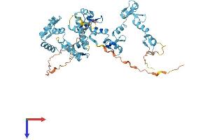 AlphaFold protein structure predicition of Human Recombinant ZNF689 Protein, UniprotID Q96CS4