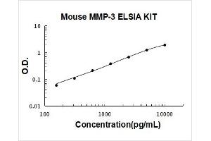 Matrix Metallopeptidase 3 (Stromelysin 1, Progelatinase) (MMP3) ELISA Kit
