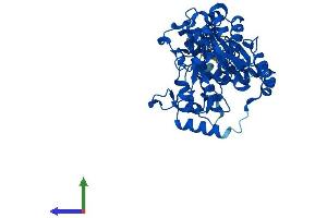 AlphaFold protein structure predicition of Mouse Recombinant Gcnt3 Protein, UniprotID Q5JCT0