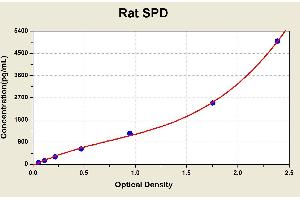 Diagramm of the ELISA kit to detect Rat SPDwith the optical density on the x-axis and the concentration on the y-axis. (SFTPD Kit ELISA)