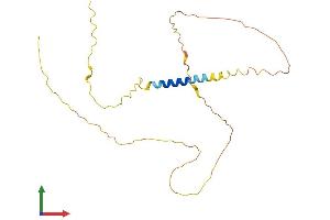 AlphaFold protein structure predicition of Human Recombinant MGARP Protein, UniprotID Q8TDB4