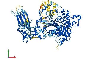 AlphaFold protein structure predicition of Human Recombinant PLA2G4B Protein, UniprotID P0C869