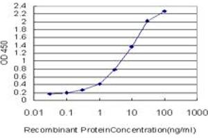 Detection limit for recombinant GST tagged KRT20 is approximately 0. (KRT20 anticorps  (AA 1-424))